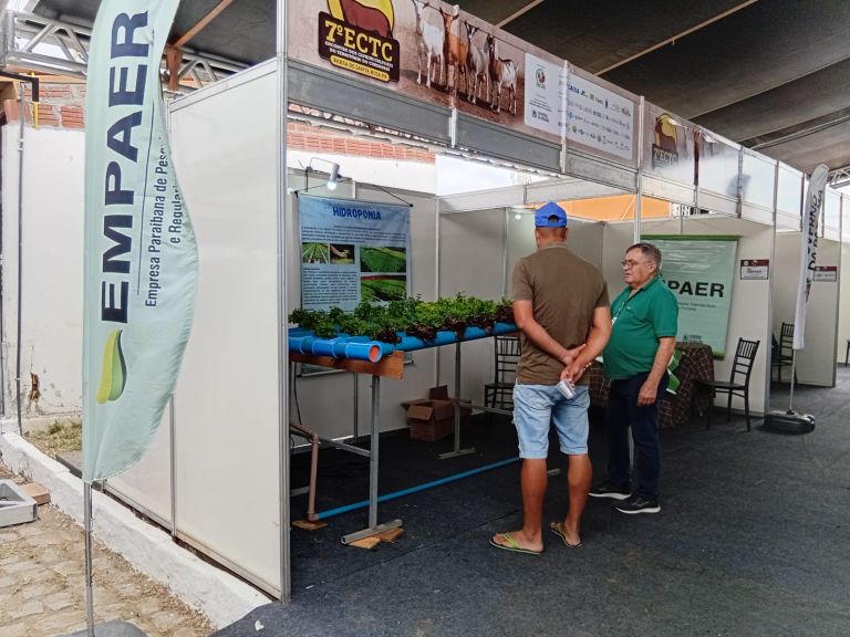 feira_1.jpg