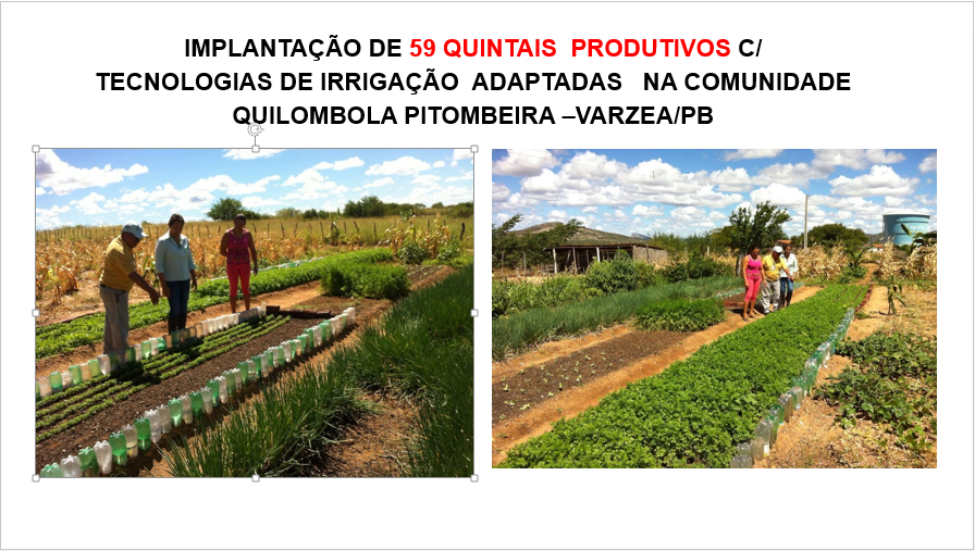 020-Quintais Produtivos.PNG