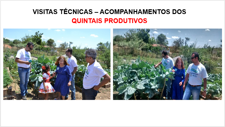 021-Visita Quintais Produtivos.PNG