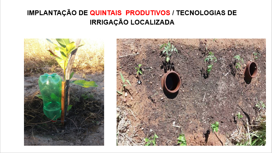 022-Irrigacao localizada.PNG