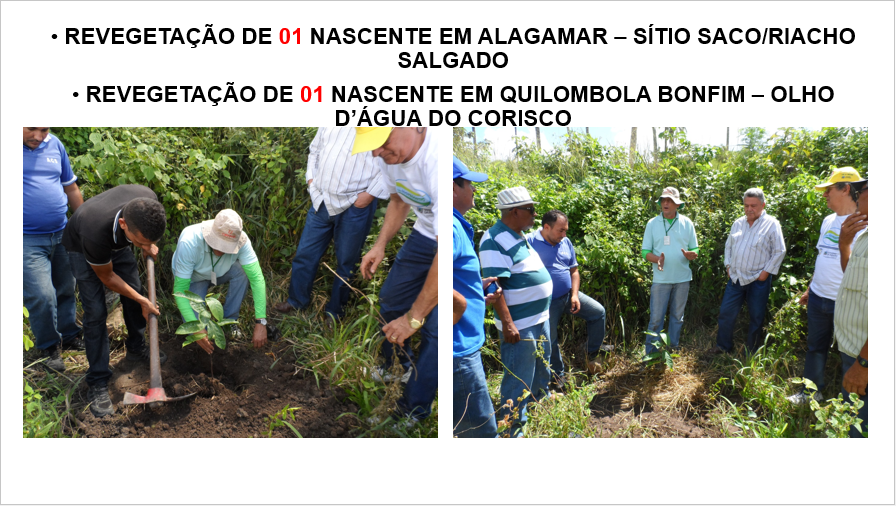 026-Revegetacao.PNG