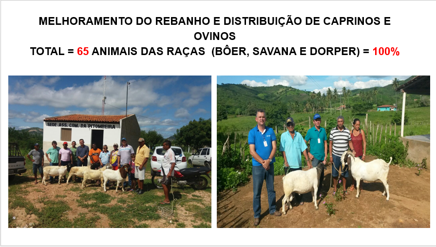 027-Melhoramento rebanho.PNG