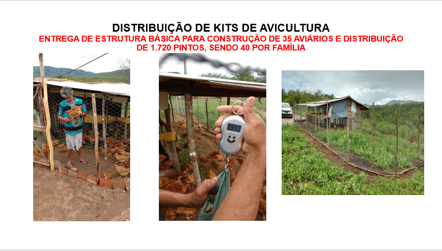 028-Distribuicao avicultura.PNG