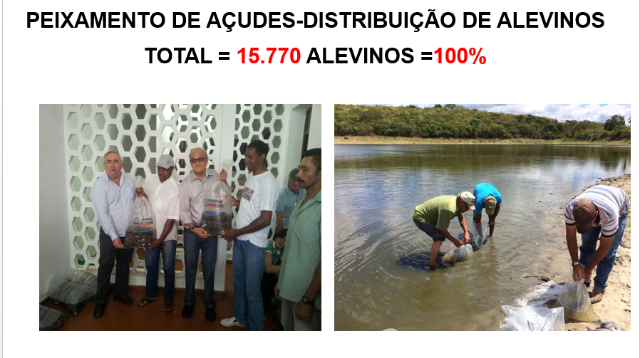 031-Peixamento.PNG