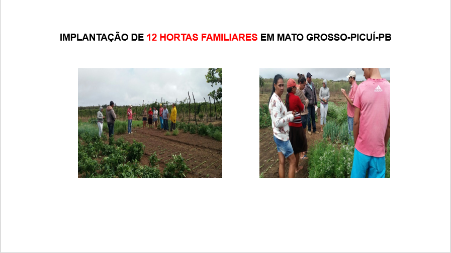 035-Implantacao hortas.PNG