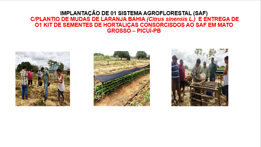 037-Imp_Sist_Agroflorestal.PNG