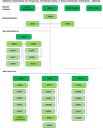 Organograma.png