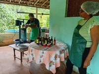 Serraria_Polpa_Fruta_3_agricultor familiar_Marcelo Gomes _Lacerda_Assentamento_Cajazeiras.jpeg