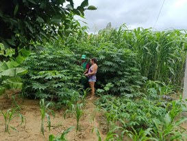 WhatsApp Image 2025-04-14 at 09.55.20.jpeg