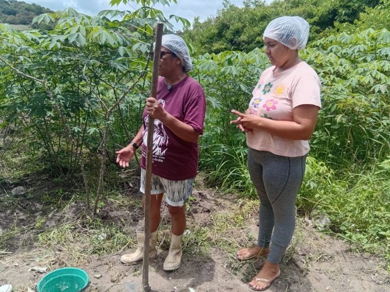 1Macaxeira_agricultora_familiar_Maria_Ferreira_do_ Sítio_Matinhas_ Serraria_ok.jpg