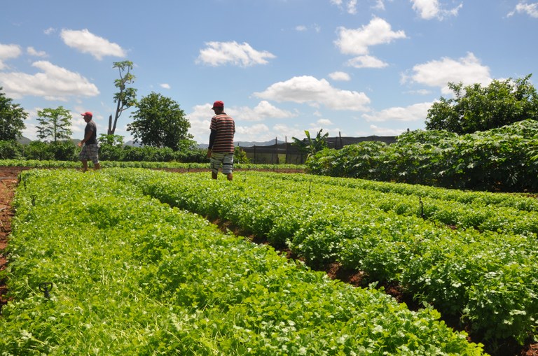 WhatsApp Image 2024-12-11 at 10.09.50 (1).jpeg