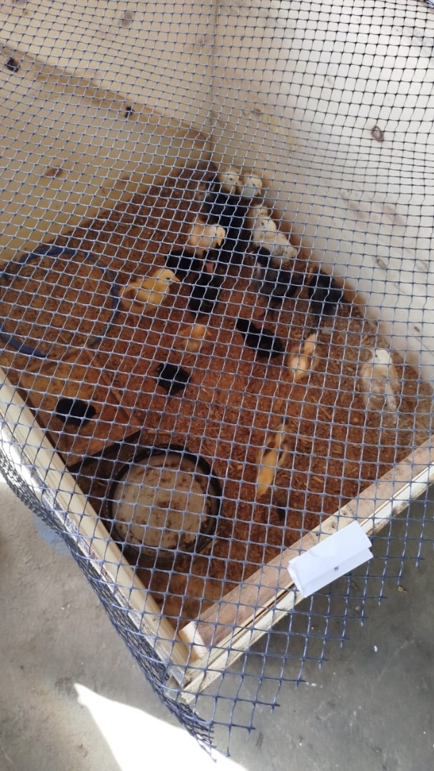 24 de março de 2026.jpg