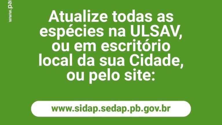 Design sem nome.jpg Design sem nome.jpg