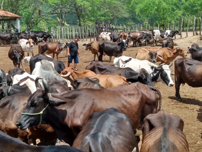 WhatsApp Image 2025-04-10 at 11.40.13.jpeg WhatsApp Image 2025-04-10 at 11.40.13.jpeg