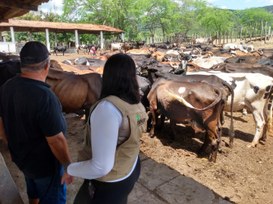 WhatsApp Image 2025-04-10 at 11.40.14 (2).jpeg WhatsApp Image 2025-04-10 at 11.40.14 (2).jpeg