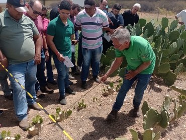 WhatsApp Image 2025-08-25 at 07.36.19.jpeg