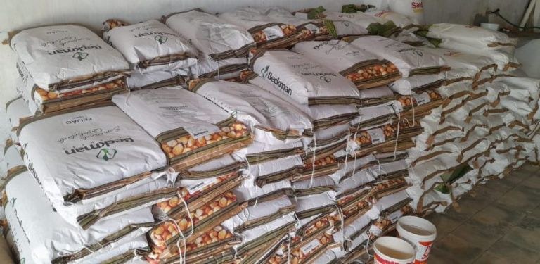 empaer-2-860x420 - 12-01-26.jpg