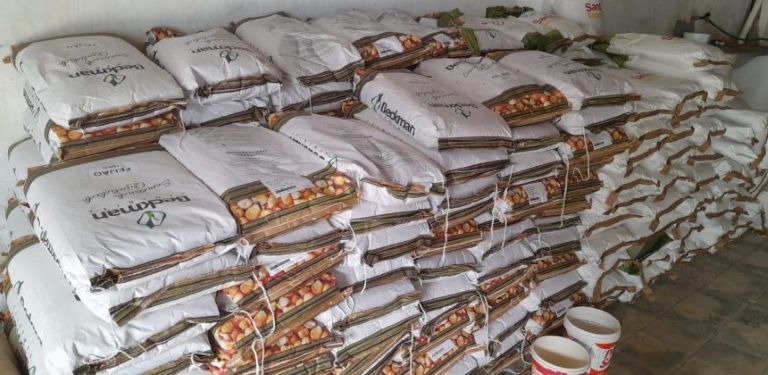 empaer-2-860x420 - 12-01-26.jpg