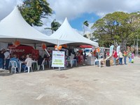 consea5.jpg