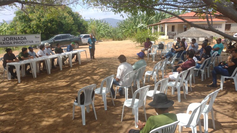 WhatsApp Image 2025-09-12 at 11.44.59.jpeg