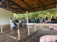 Dia Campo-S.Francisco.7.jpg