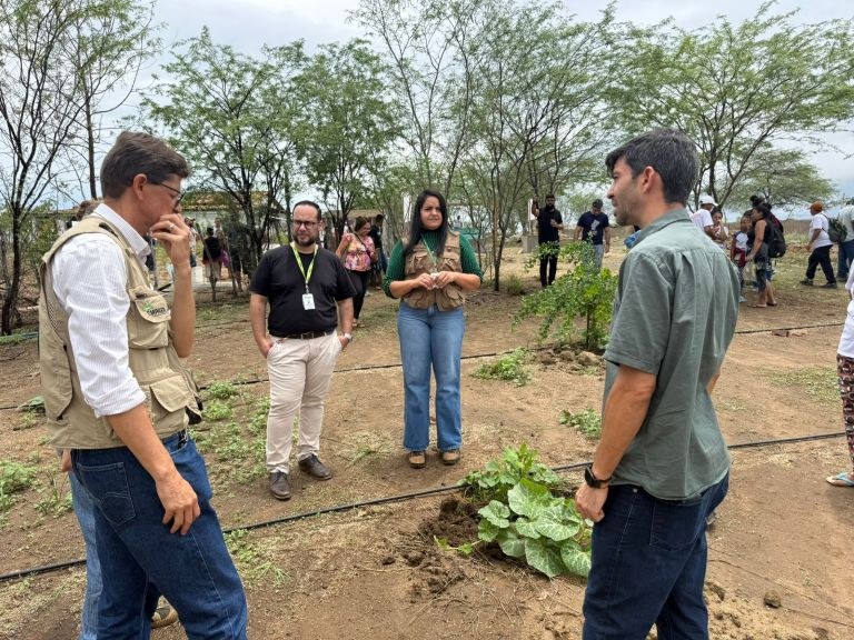 WhatsApp Image 2026-02-13 at 08.45.15.jpg