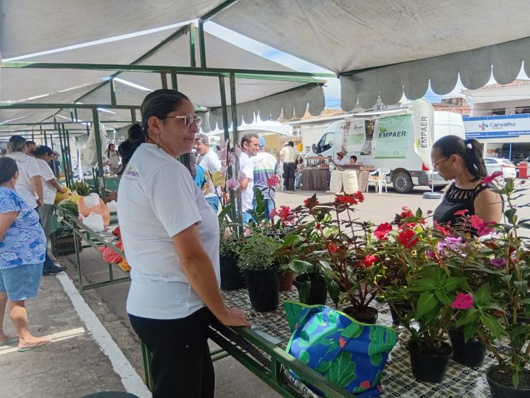 Serraria 06-11-2.jpg