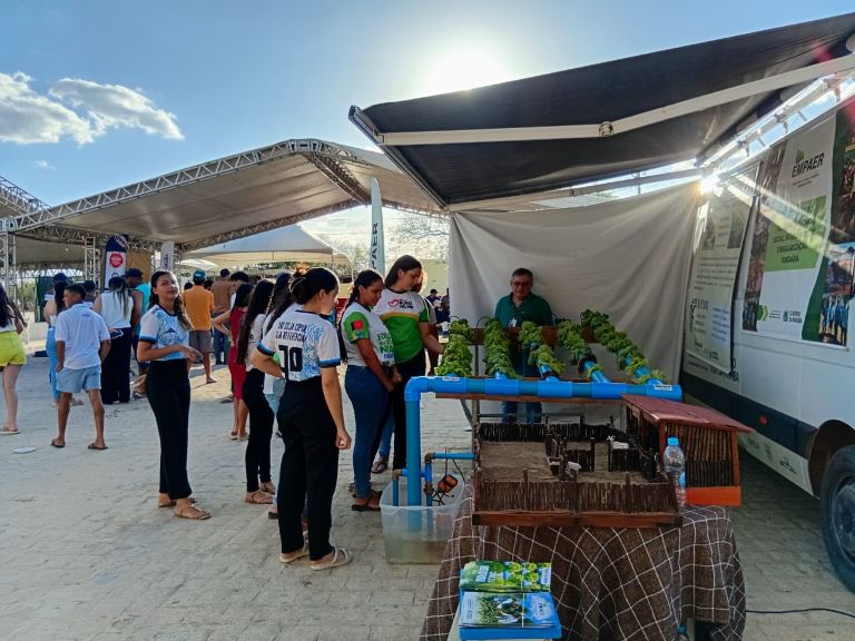 Ouro Velho Hidroponia11.jpg