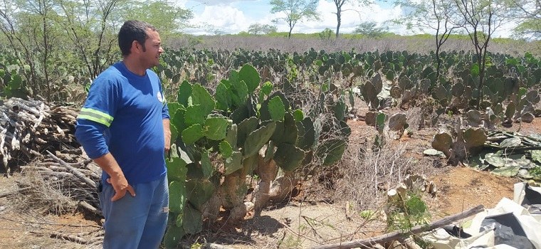 WhatsApp Image 2025-03-14 at 09.38.51.jpeg