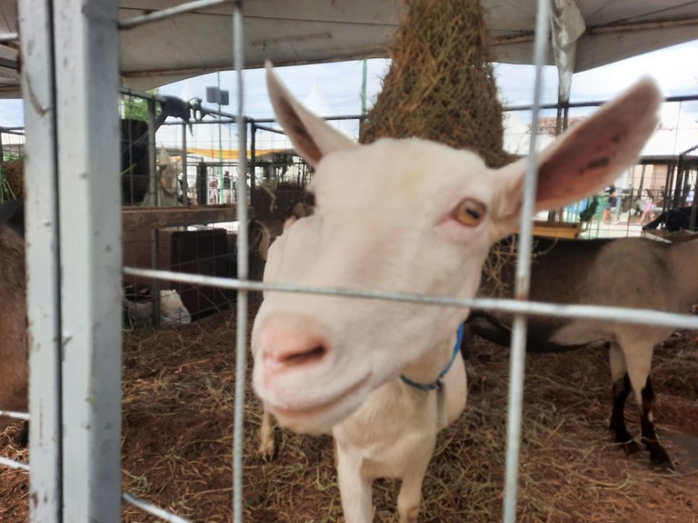 Juazeirinho 29-10-25.1.jpeg