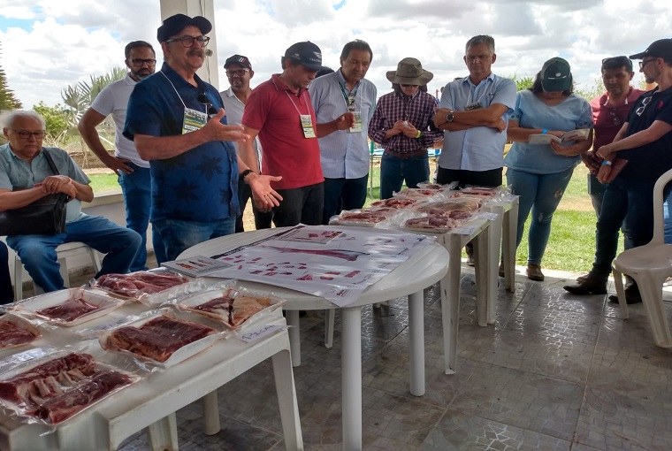 Dia de Campo1 29 11.jpg