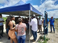 Amendoim - Esperança.jpeg