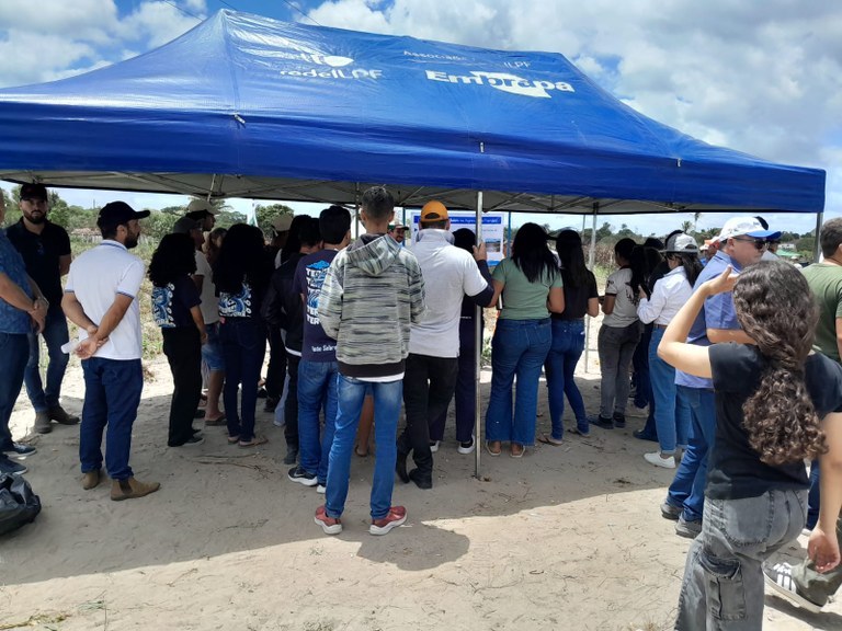 Amendoim.jpeg