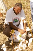 ALGODAO2 22-04.jpg