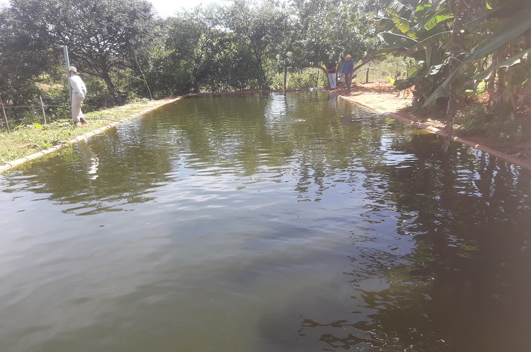 Peixamento Itaporanga 01-07-2019.jpg