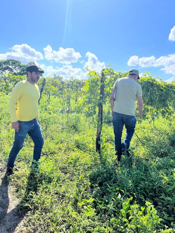 WhatsApp Image 2025-03-27 at 08.16.46.jpeg WhatsApp Image 2025-03-27 at 08.16.46.jpeg