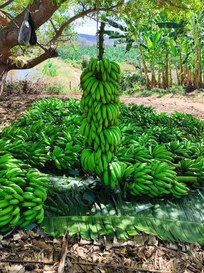 83eab38c-b8f4-46b7-96c4-c5dda0414446.jpg 83eab38c-b8f4-46b7-96c4-c5dda0414446.jpg