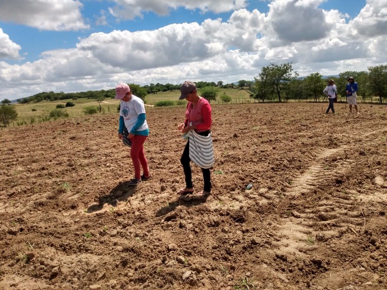 WhatsApp Image 2025-06-03 at 08.39.39.jpeg