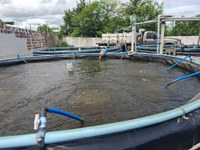 10950dbb-4490-4312-bb20-19e52220ee7d - VVVVVV.jpg