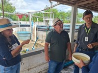 8b3688bf-abaa-473b-aa44-c1d1c958031d - COPIA .jpg