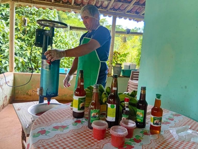 Agricultor de Serraria melhora renda familiar com polpa de frutas