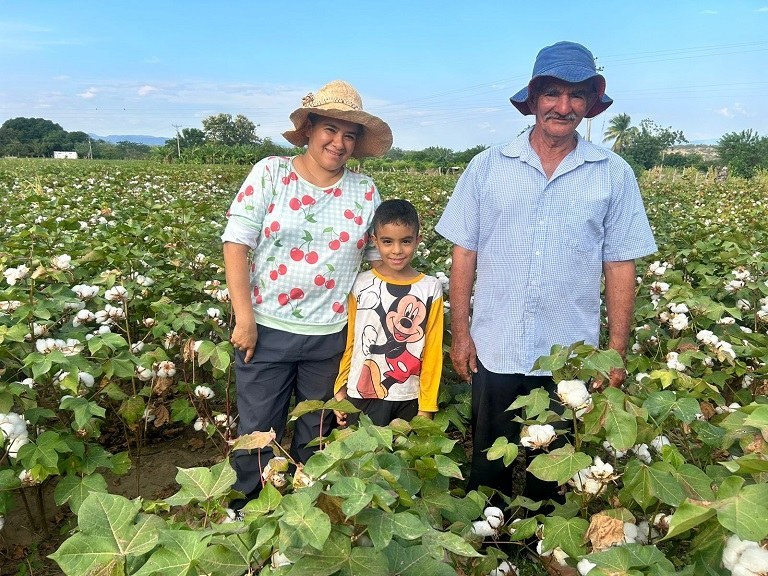 Cooperação internacional entre o Brasil e a FAO no setor algodoeiro na Colômbia é tema de programa em TV brasileira