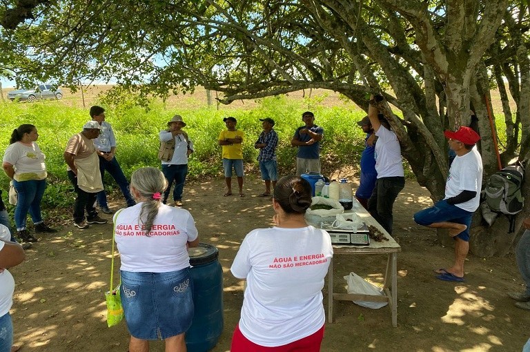 Produtores concluem plantio de algodão colorido na Agrovila Águas de Acauã