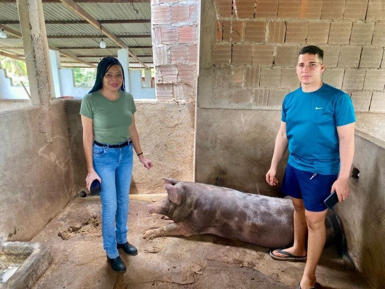 Produtor rural jovem de Itapororoca se destaca com criação de suínos