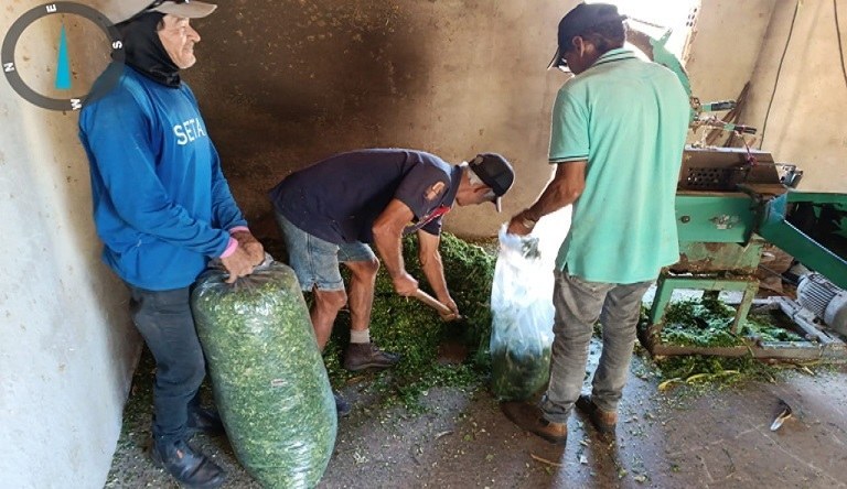 Produtores são capacitados sobre criação de abelha e silagem
