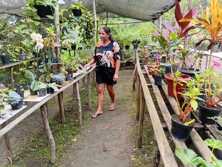 Produção de flores ornamentais gera renda e oportunidades para família em Serraria