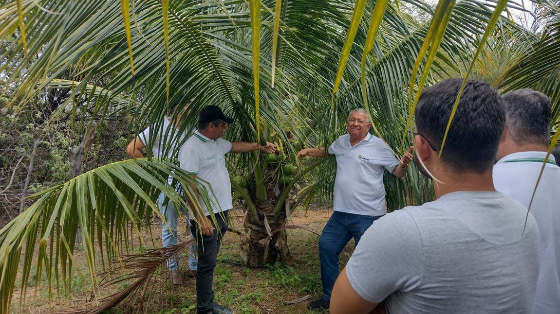 Estagiários da UFCG conhecem em Aparecida práticas sobre fruticultura irrigada
