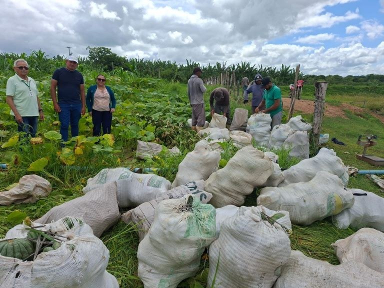 Produtores rurais de Nazarezinho fazem entrega de produtos ao PAA