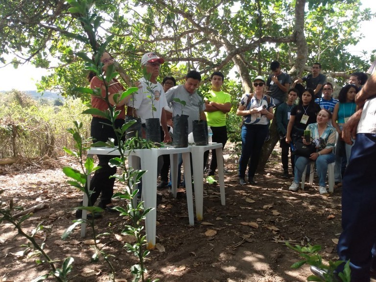 Governo do Estado, pesquisadores e agricultores discutem revitalização da laranja tangerina em Matinhas