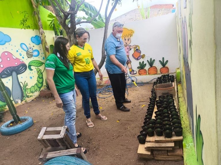 Empaer doa mudas de cactos ornamentais  para ação educativa em São Domingos do Cariri